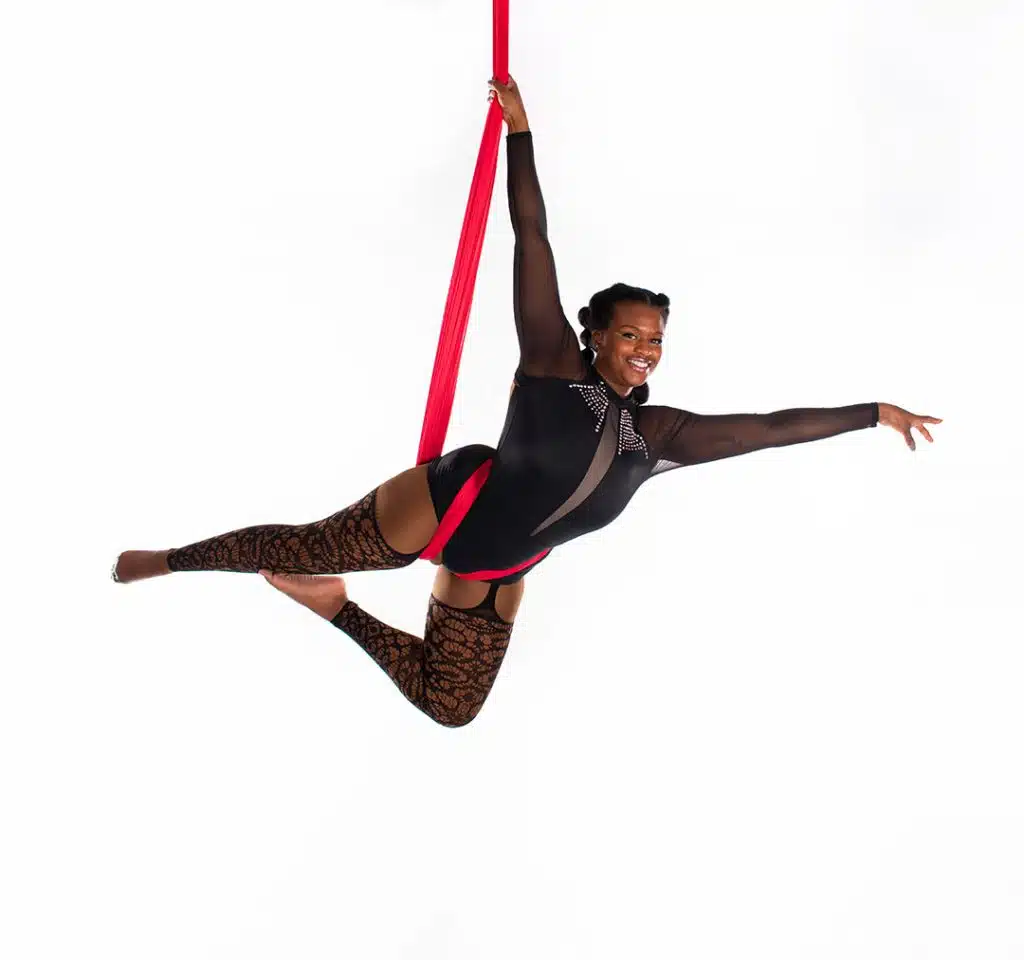 adult aerial classes