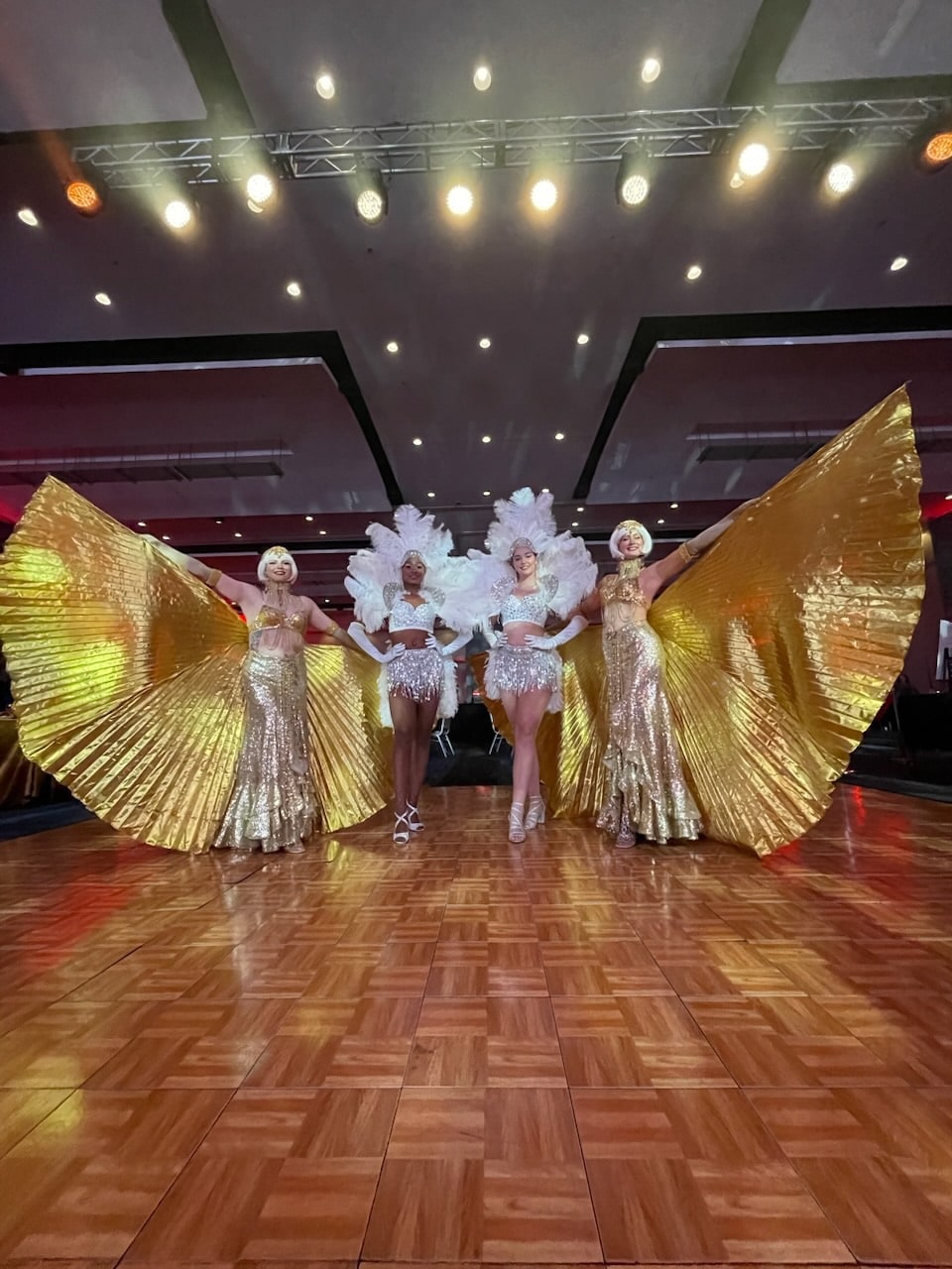 david's bridal rose gold wedding dress YUN.L031FDD LADIES GOLD AND FRINGE LATIN DANCE COSTUME – Mine·Jas main image 1