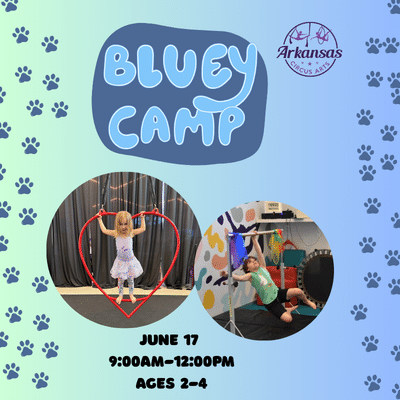 Bluey camp graphic